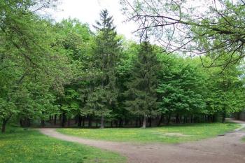 Hloučela (© Ivo Rozehnal 2007)