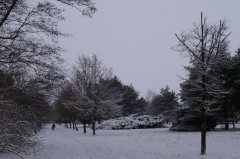 Hloučela (© Ivo Rozehnal, 04/2008)