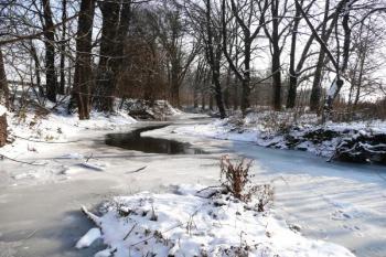 nezregulovaný přirozený tok řeky Hloučely v severní části města Prostějova ( © Jan P. Štěpánek 12/2009)