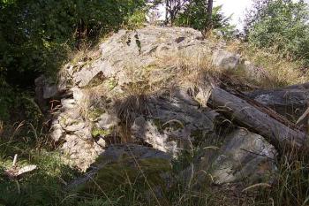 Pustý zámek (© Jan Laurin, 07/2007)