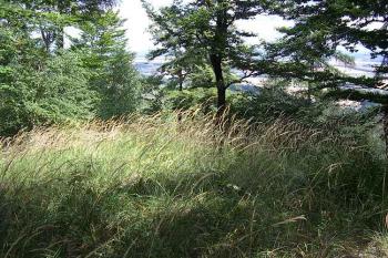 Pustý zámek (© Jan Laurin, 07/2007)