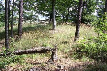 Pustý zámek (© Jan Laurin, 07/2007)