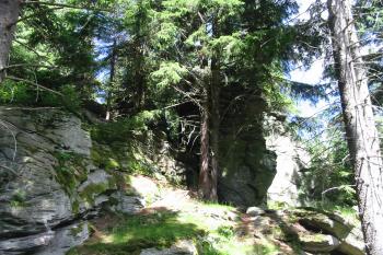 Příchod k hradu od jihu (© Dušan Dohňanský 07/2020)