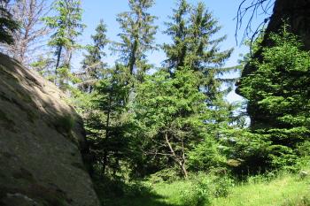Přirozený skalní příkop na záp. straně /hrad je vpravo/ (© Dušan Dohňanský 07/2020)