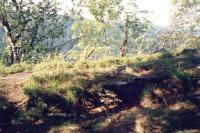 Quinburk