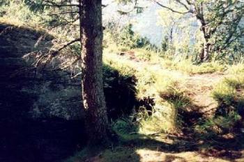 Quinburg (2003 ©Radim Bystroň)