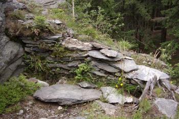 Quinburg (© Jan Laurin, 07/2007)