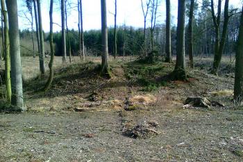 Pohled na tvrziště od západu (© Vojtěch Barcal, 04/2018)