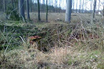 Terénní deprese v ploše tvrziště - stopa po obytné věži (© Vojtěch Barcal, 04/2018)