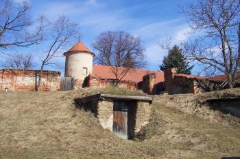 Ptení (© Ivo Rozehnal, 03/2009)