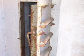 Ptení (© Ivo Rozehnal, 03/2009)