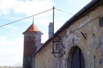 Ptení (© Ivo Rozehnal, 03/2009)