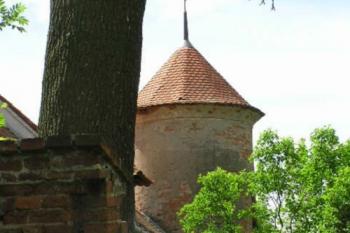 Ptení (© Vojtěch Novák 05/2004)