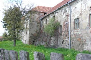 Ptení (© Vojtěch Novák 05/2004)