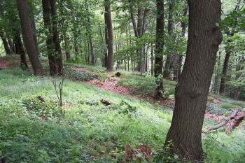 pohled svrchu (© Stanislav Drda 07/2004)