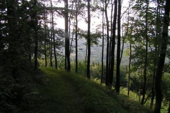 Starý Falkenburk (© Pavel Zabrana, 12/2006)