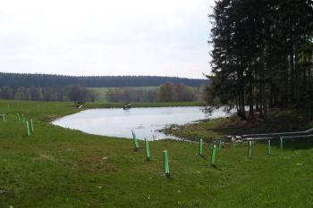 Skřípov - biokoridor (© Ivo Rozehnal, 04/2008)