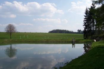 Skřípov - biokoridor (© Ivo Rozehnal, 04/2008)