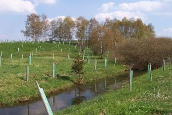 Skřípov - biokoridor (© Ivo Rozehnal, 04/2008)
