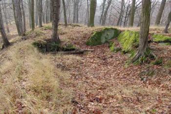 Zbytek místnosti stavení, částečně zasekaného do skály ( © Roman Řezáč 12/2004)