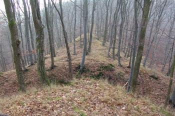 Pohled z jádra přes druhý příkop na úzkou šíji ostrožny ( © Roman Řezáč 12/2004)