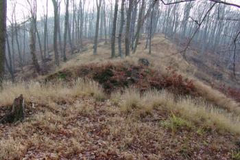 Pohled přes první příkop na rozšiřující se ostrožnu ( © Roman Řezáč 12/2004)