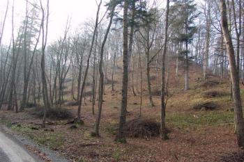 Celkový pohled na ostrožnu s hradem, z cesty od severovýchodu ( © Roman Řezáč 12/2004)
