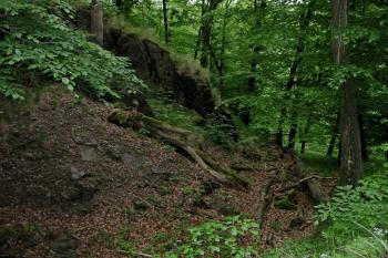 Hradní příkop na přístupové jz.straně (©  , 05/2014 Dohňanský D.)