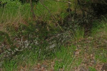 část vnitřních hradeb na výchoní straně hradu /foceno opravdu za mizerných podmínek/ (©  , 05/2014 Dohňanský D.)