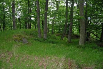 povrch předhradí (©  , 05/2014 Dohňanský D.)