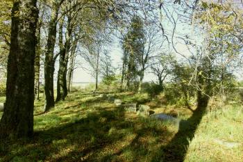 plocha hřbitova se zbytky podstavců náhrobních kamenů ( © Milan Caha 09/2007)