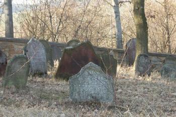  ( © Milan Caha 05/2008)