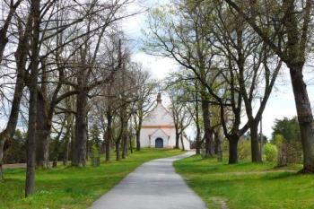 Přístupová cesta. (© Jan Sommer, 05/2008)