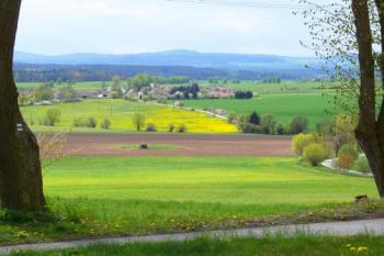 Cesta ke Květovu. (© Jan Sommer, 05/2008)