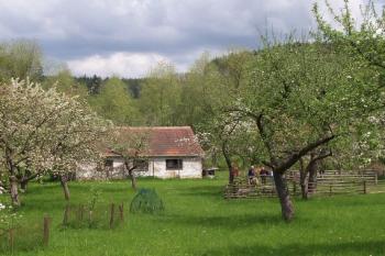 Bernovský mlýn (© Ivo Rozehnal, 05/2008)