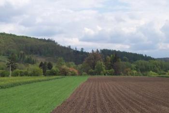 Bernovský mlýn (© Ivo Rozehnal, 05/2008)