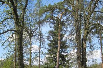  (© Michal Schuster, 04/2014)