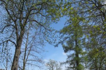  (© Michal Schuster, 04/2014)