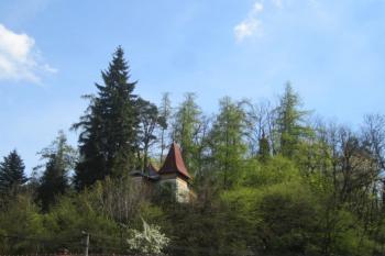  (© Michal Schuster, 04/2014)