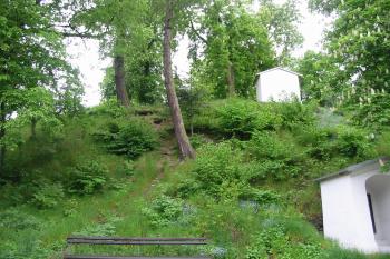 pohled na vrchol bývalého hrádku (© D Dohňanský, 05/2014)