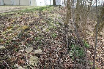 Možné zbytky z obvodové hradby (© Luděk Vláčil, 04/2015)