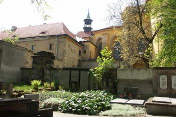  ( © Milan Caha 05/2008)