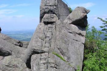 Ořešník (© Jan Fišer, 05/2008)