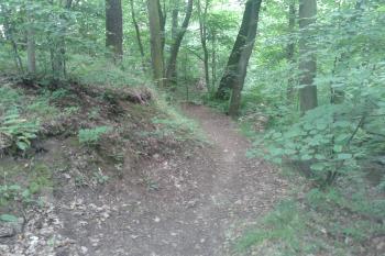 Hradní zbytky nesou četné teréní nerovnosti ( © Ivo Rozehnal 06/2019)