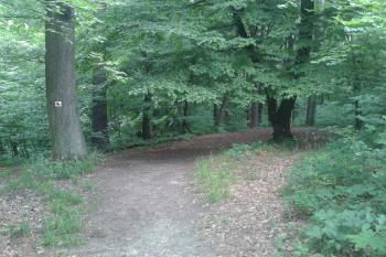 Centrální plochahradu ( © Ivo Rozehnal 06/2019)