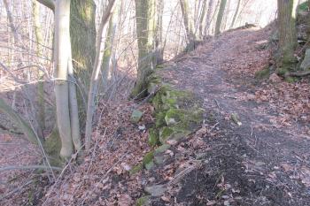 Zbytek buď parkánové hradby nebo plášťové zdi chránící hrad na severu (© Dušan Dohňanský 02/2020)