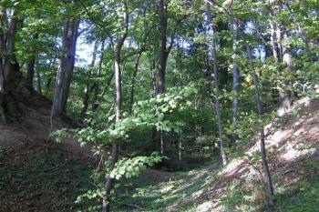okružní příkop na východě lokality ( © Jan P. Štěpánek 10/2007)