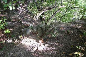 drobný kus hradní zdi v jihovýchodní části hradu ( © Jan P. Štěpánek 10/2007)