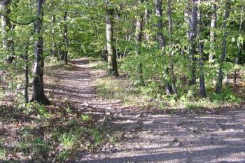 Pohled na plochu jádra hradu od jihu ( © Jan P. Štěpánek 10/2007)