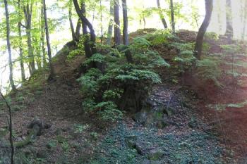 pohled na jádro hradu a okružní příkop ze severovýchodní části valu ( © Jan P. Štěpánek 10/2007)